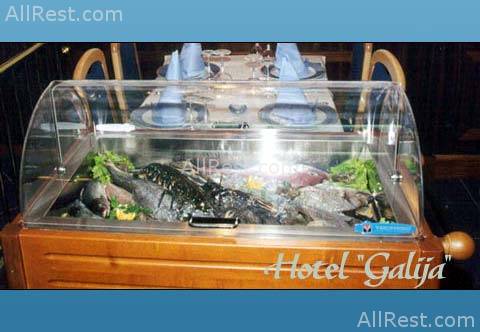 Galija Hotel 7